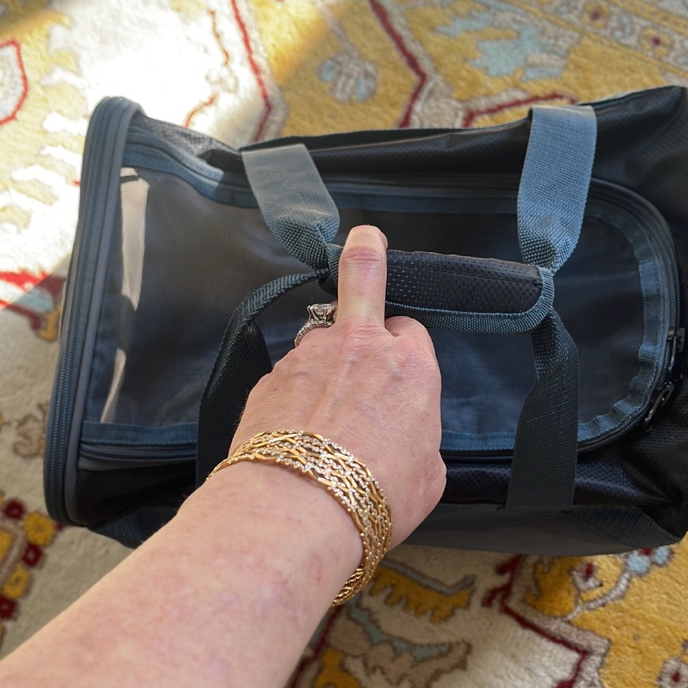 Every Yay Places To Go Pet Travel Soft Carrier NWT - Picture 5 of 7
